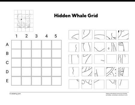 Hidden Whale Grid