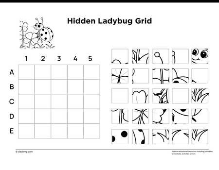 Hidden Ladybug Grid