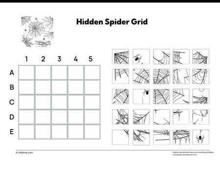Hidden Spider Grid