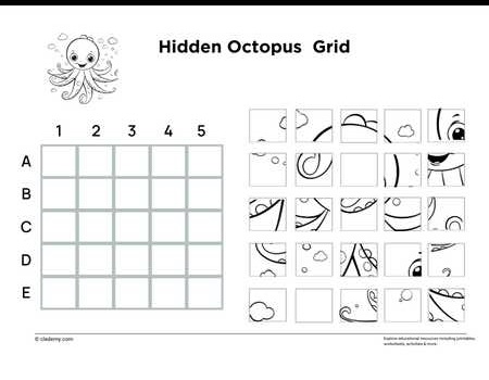 Hidden Octopus Grid