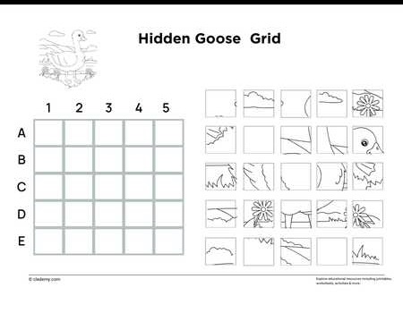 Hidden Goose Grid