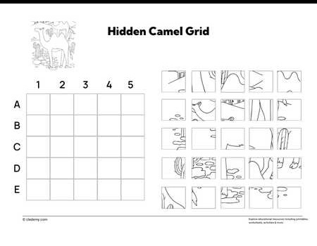 Hidden Camel Grid