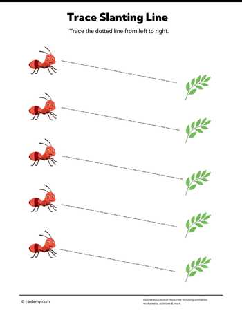 Trace Slanting Line-Ant