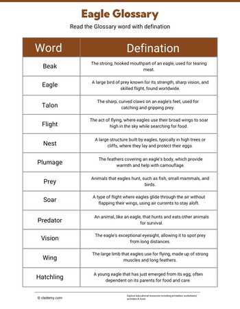 Eagle Glossary