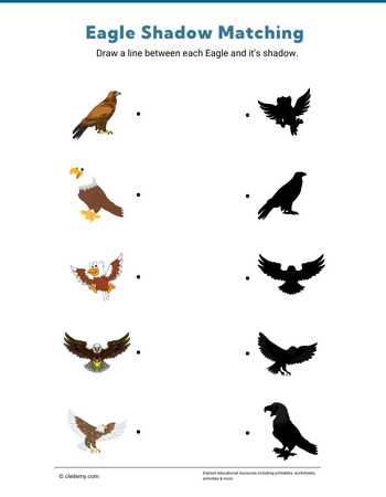 Eagle Shadow Matching