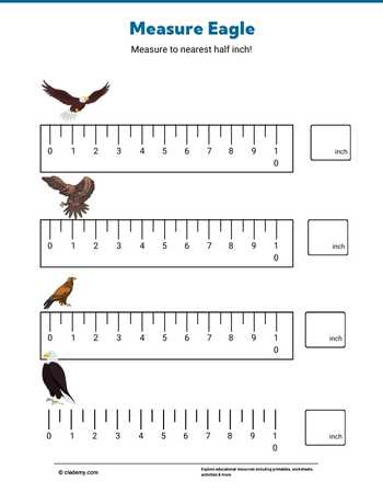 Measuring Eagle