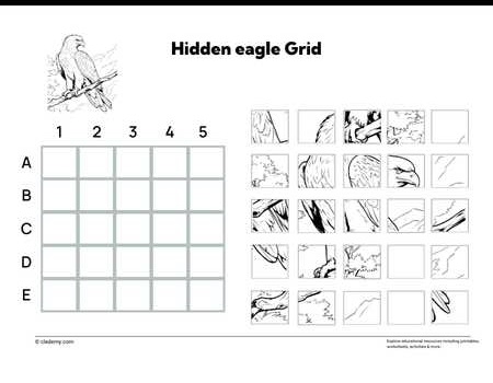 Hidden Eagle Grid