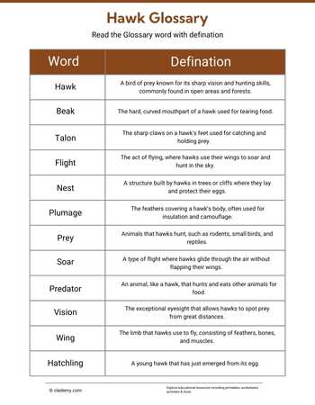 Hawk Glossary