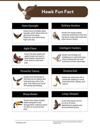 Hawk Fun Fact for Kids