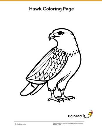 Hawk - Coloring Page