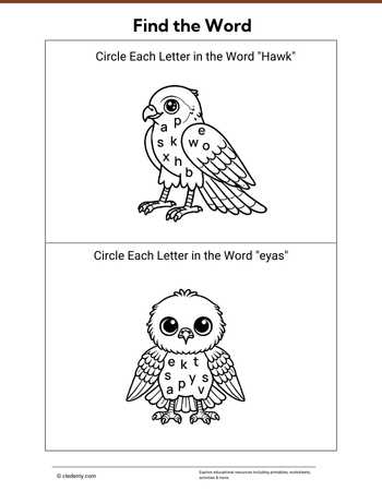 worksheet