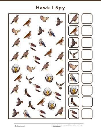 worksheet