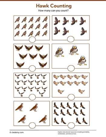Hawk Counting
