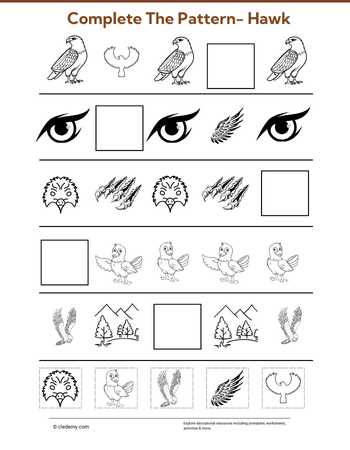 Complete The Pattern- Hawk