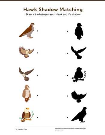 Hawk Shadow Matching