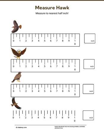 Measure It - Hawk