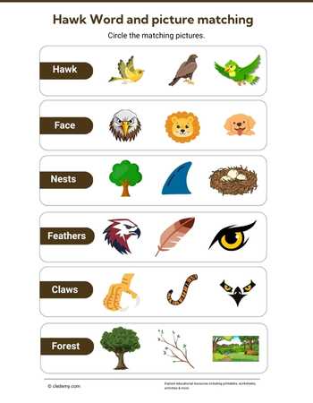 Hawk Word and Picture Matching