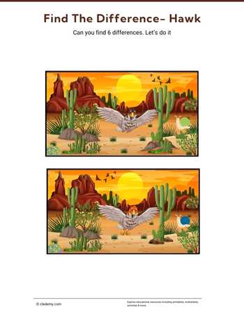 Find the Difference- Hawk