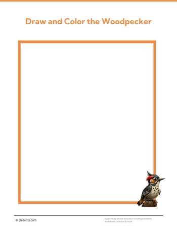 Draw and Color the Woodpecker