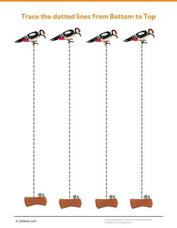 Trace Straight Line-Woodpecker