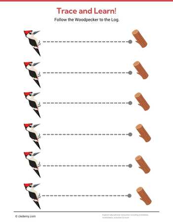 Trace Woodpecker In Horizontal Line
