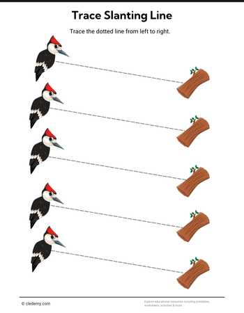 Trace Slanting Line- Woodpecker