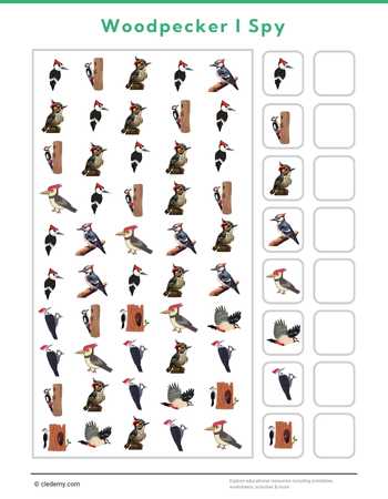 Woodpecker I Spy