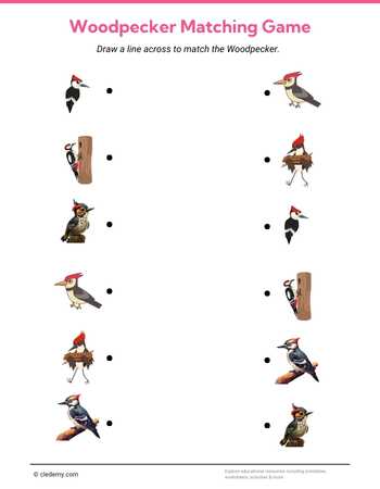 Woodpecker Matching Game