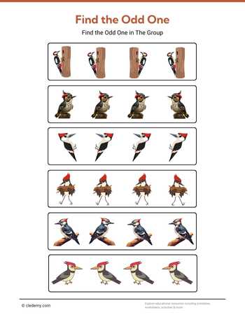 Find Odd One Out Woodpecker