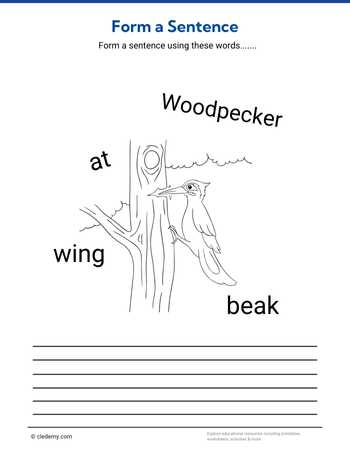 Form a sentence (Woodpecker)