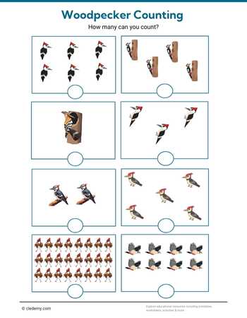 Woodpecker Counting