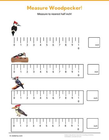 Measure It - Woodpecker