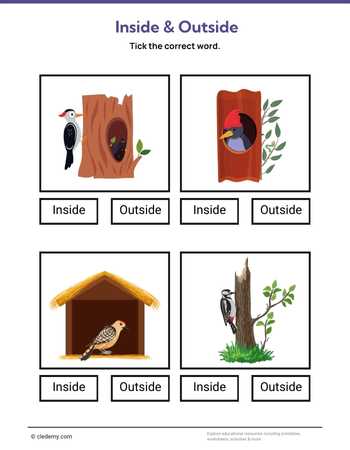 Inside or Outside- Woodpecker