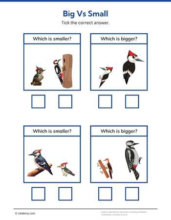 Big or Small- Woodpecker