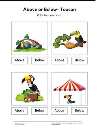 Above or Below- Toucan