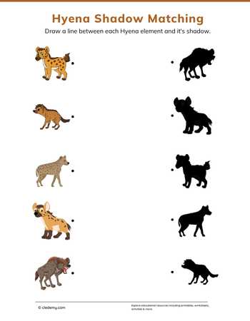 Hyena Shadow Matching