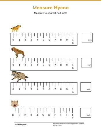 Measure It - Hyena