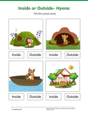 Inside or Outside- Hyena