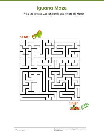 Iguana Maze