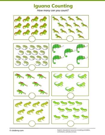 Iguana Counting