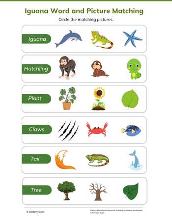 Iguana Word and Picture Matching
