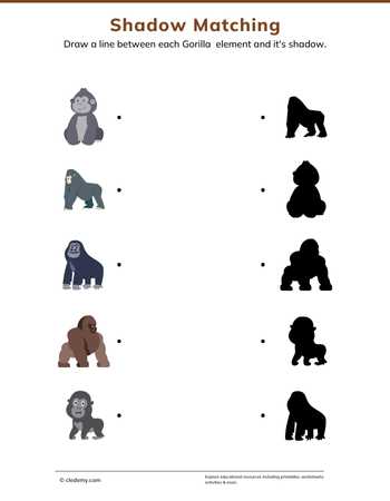 Gorilla Shadow Matching
