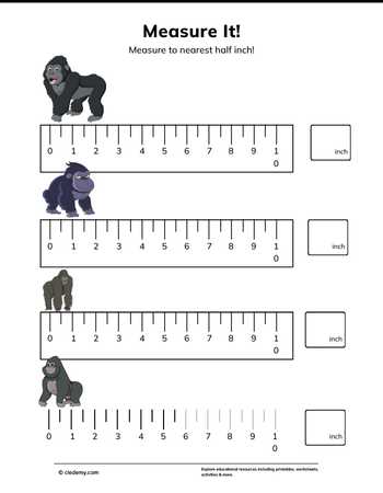 Measure It - Gorilla