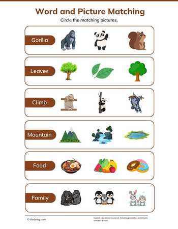 Gorilla Word and Picture Matching