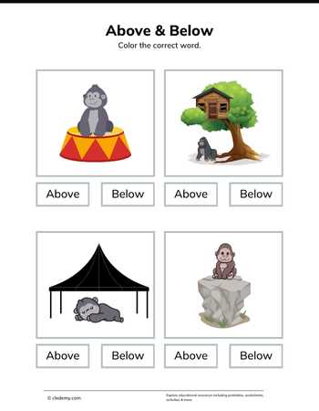 Above or Below- Gorilla