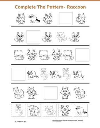Complete The Pattern Raccoon