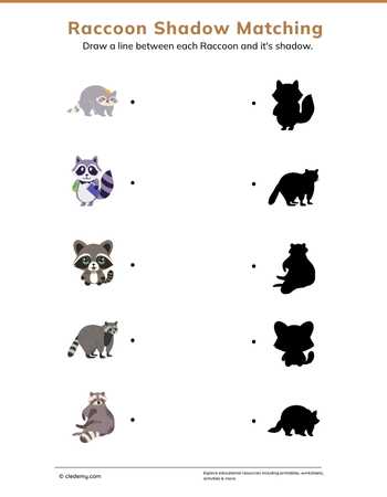 Raccoon Shadow Matching