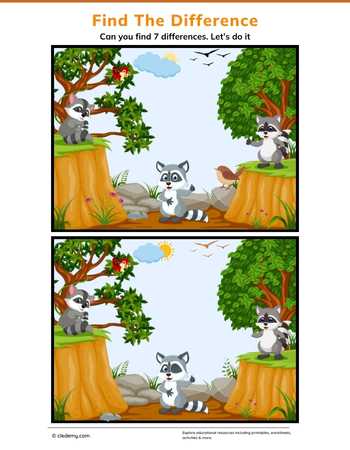 Find the Difference- Raccoon