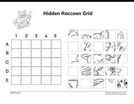 Hidden Raccoon Grid