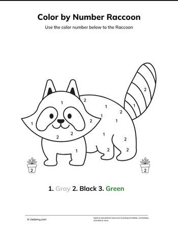 Color by Number Raccoon